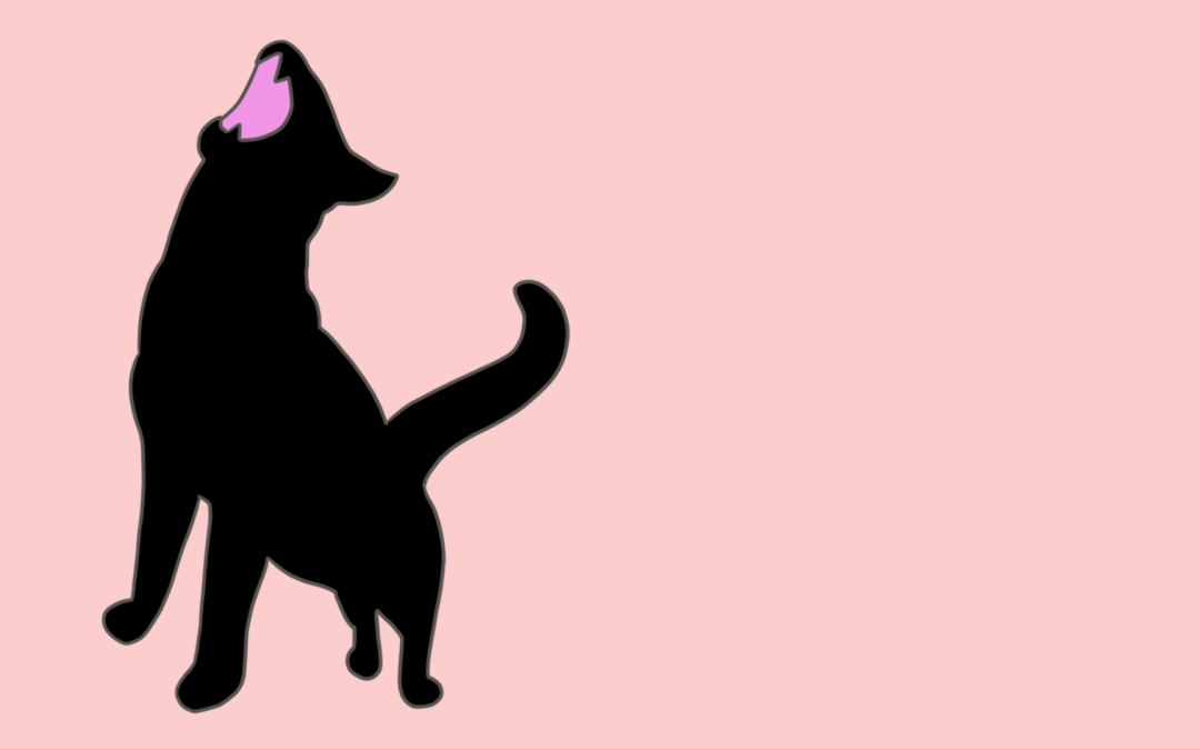 Cat&rsquo;Hem All